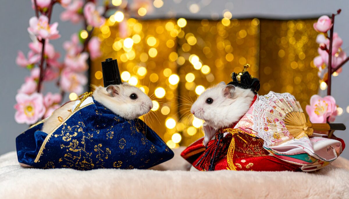 Firefly 1回目のAI画像生成結果。パターン2