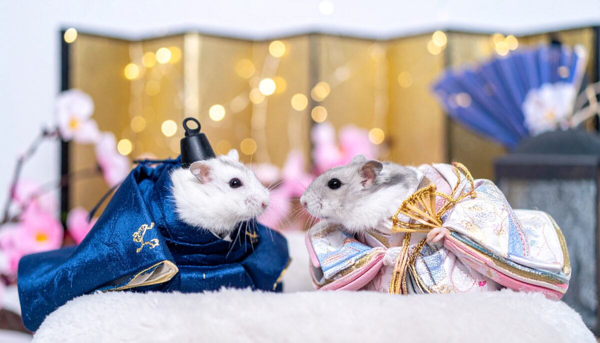 Firefly 1回目のAI画像生成結果。パターン3