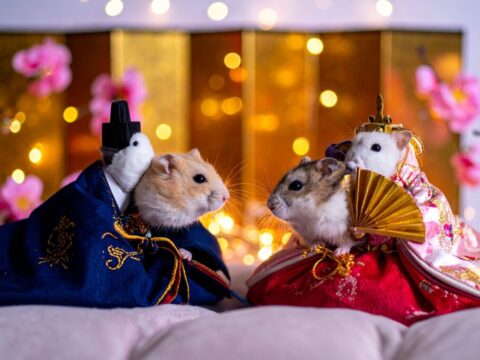 Day 018 [Adobe Firefly] 18日目の悲劇。雅なハム雛が「二人羽織」に