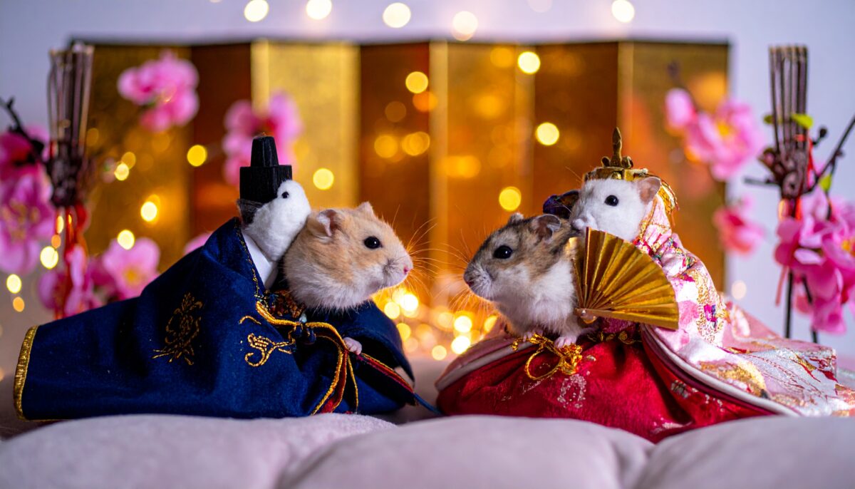 Day 018 [Adobe Firefly] 18日目の悲劇。雅なハム雛が「二人羽織」に